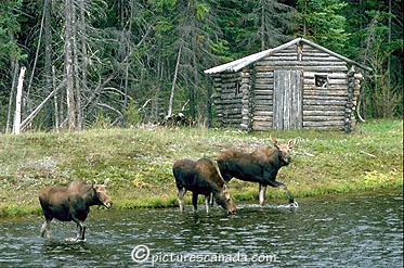 saguenay-003